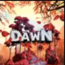 Dawn Community Discord