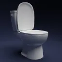 The Toilet