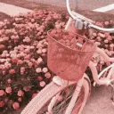 ʚ Vouches  ɞ