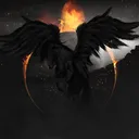 iRO Pegasus