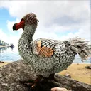 ふぐのサーバー