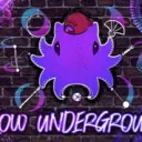 FlowUnderground