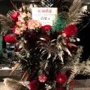 kznb用鯖