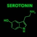 A Daily Dose of Serotonin