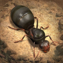 The Ants Official Discord Server Icon