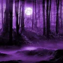 °•★Midnight Abode★•°