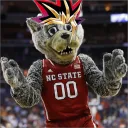 Duelists of NCSU