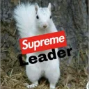 Squirrel kingdom