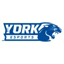 York University Panther Esports