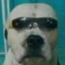 El servidor de locuras Discord Server Icon