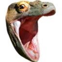 Komodo Hypers