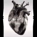 Discovery icon for Tertulia Literaria. Discord server