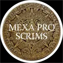 Mexa Pro Customs