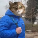 Bejbowo