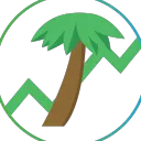 Palm Investing Group