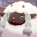 Wooloo's Official Fanclub Discord Server UwU