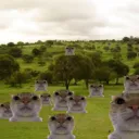 La Down Army