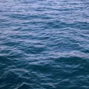 A place to drown out the noise