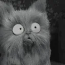 WearyKittens Discord Server Icon