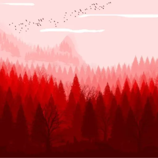 Forest Kingdom — мониторинг Discord сервера, статистика и рейтинг