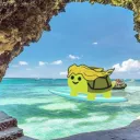 The Turtle Cove