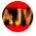 AJV's Officail Discord!