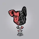 bOrk Mania