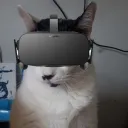 lazer kitten's server's icon