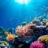 Aaron's Ocean