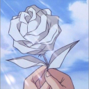❝・lotus..┆rvmp
