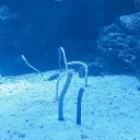 🌊千重波