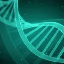 Ark Gene Labs