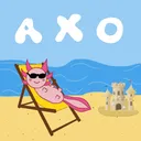 AKWARIUM AXOLOTLÓW