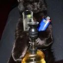 Sesh Hub
