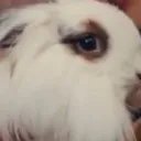 Another World Discord Server Icon