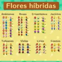🚨🌷 Floratón 🌷🚨