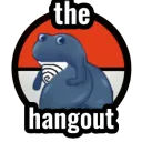 the hangout