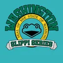 Washington Slippi Series