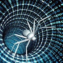 🕸The.Net.🕷 — мониторинг Discord сервера, статистика и рейтинг