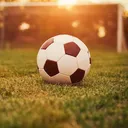 SoccerNet Community