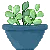 Pats garden