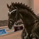 Jayus-Horse