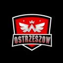 Ostrzeszowska Sieć Serwerów