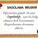 sevenler gece ölür bunu yalnız... Discord Server Icon