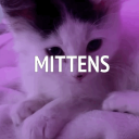 à­¨à­§ Mittens  à­¨à­§ Server Icon