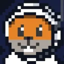David Loco The SpaceHamster