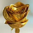 The Gold Huntress