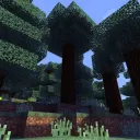 The Pinelands