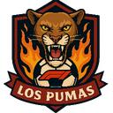 Los Pumas F1   Temporada 10 Discord Server Icon