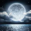 Silver Moon Syndicate